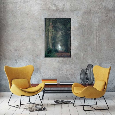 Tablou Canvas Drum prin padure