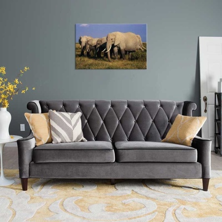 Tablou Canvas Elefanti