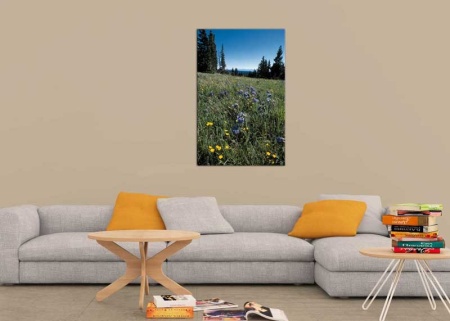 Tablou Canvas Floricele