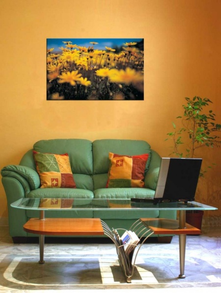 Tablou Canvas Floricele