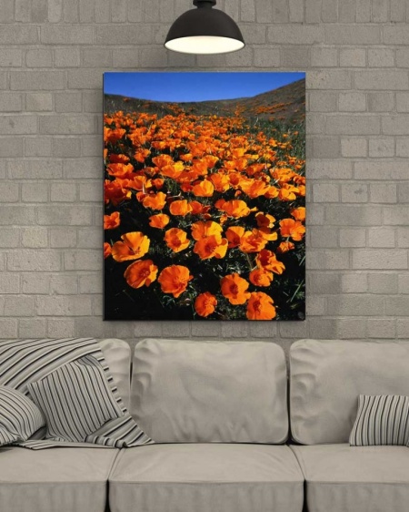 Tablou Canvas Flori