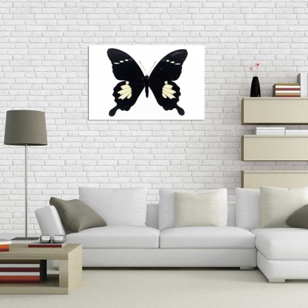 Tablou Canvas Fluturas