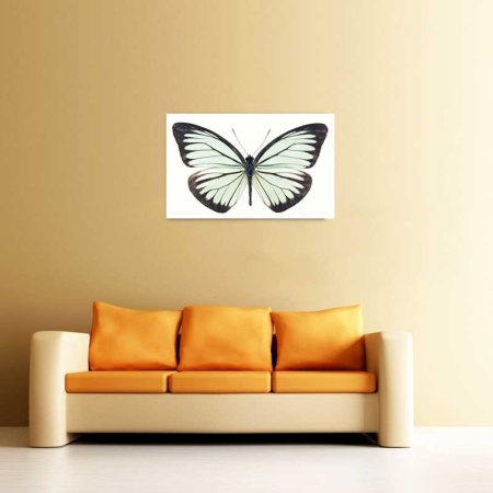 Tablou Canvas Fluturas