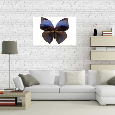 Tablou Canvas Fluturas
