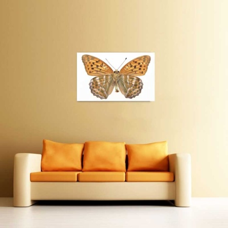 Tablou Canvas Fluturas