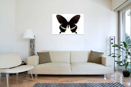 Tablou Canvas Fluturas