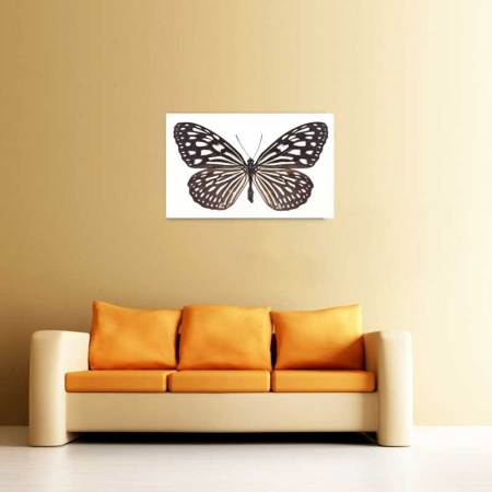 Tablou Canvas Fluturas