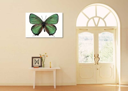 Tablou Canvas Fluturas