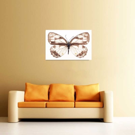 Tablou Canvas Fluturas