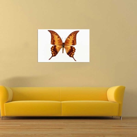 Tablou Canvas Fluturas
