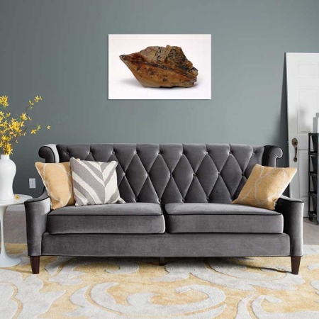 Tablou Canvas Fosila