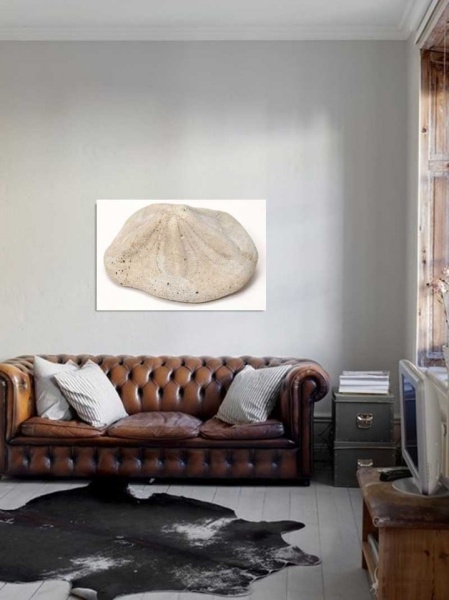 Tablou Canvas Fosila
