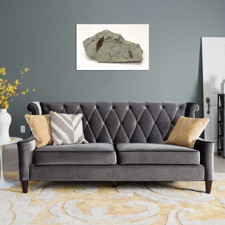 Tablou Canvas Fosila