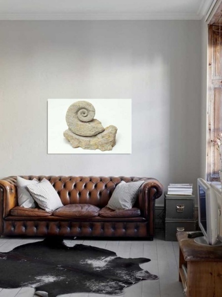 Tablou Canvas Fosila