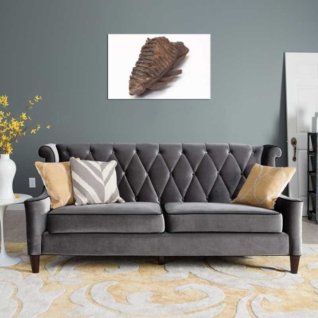 Tablou Canvas Fosila