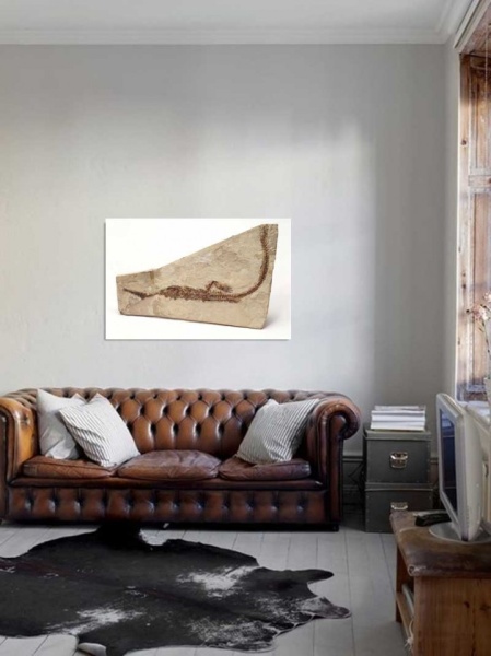 Tablou Canvas Fosila