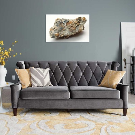 Tablou Canvas Fosila