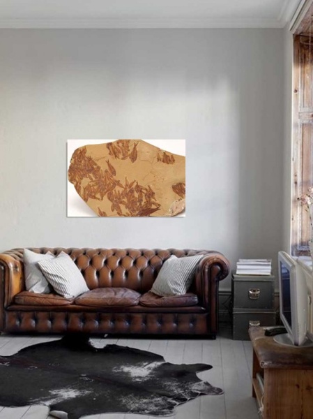 Tablou Canvas Fosila