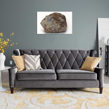 Tablou Canvas Fosila