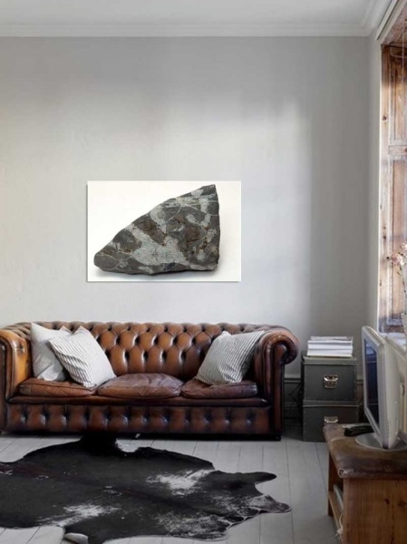 Tablou Canvas Fosila