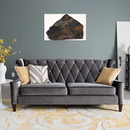 Tablou Canvas Fosila