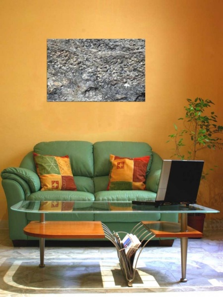 Tablou Canvas Fosila
