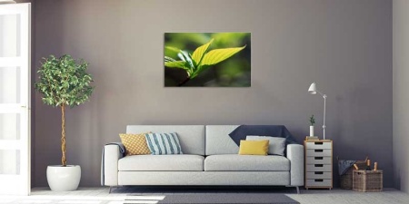 Tablou Canvas Frunza