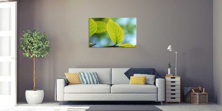 Tablou Canvas Frunza