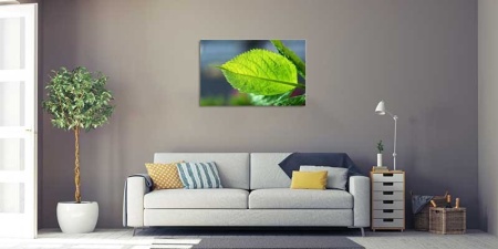 Tablou Canvas Frunza