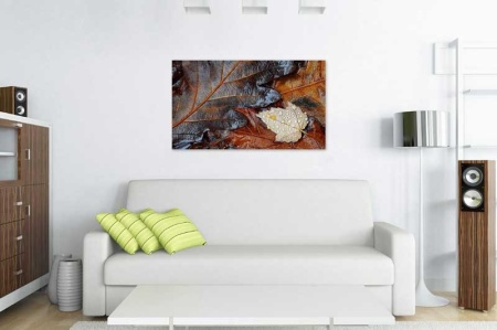 Tablou Canvas Frunze de toamna cu roua