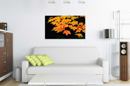 Tablou Canvas Frunze de toamna