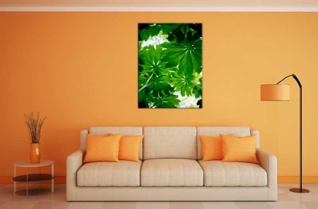 Tablou Canvas Frunze