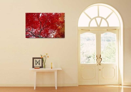 Tablou Canvas Frunze
