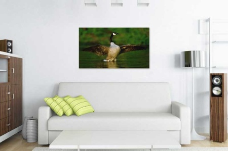 Tablou Canvas Gasca