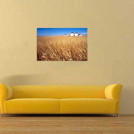 Tablou Canvas Grau