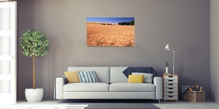 Tablou Canvas Grau