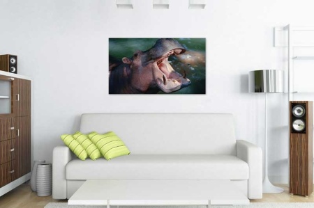 Tablou Canvas Hipopotam