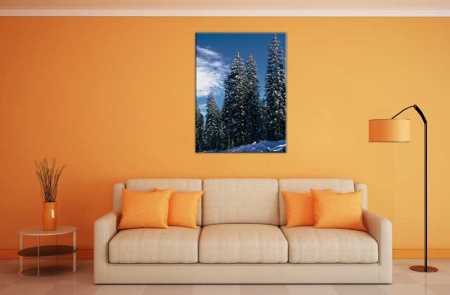 Tablou Canvas Iarna