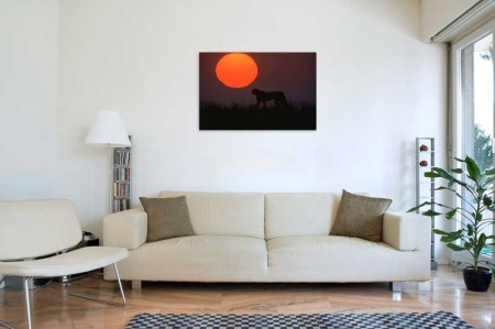 Tablou Canvas Leopard