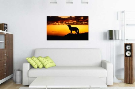 Tablou Canvas Lup la apus