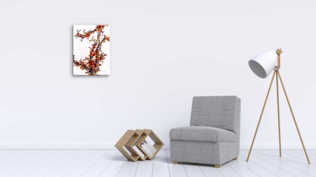 Tablou Canvas natura abstract