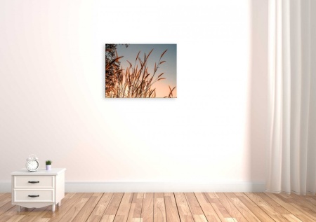 Tablou Canvas natura mohor