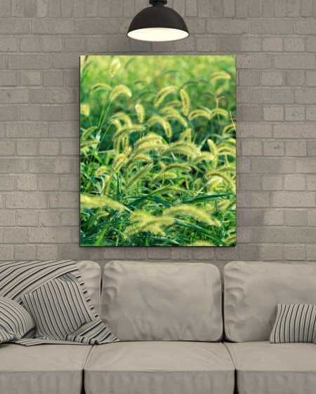 Tablou Canvas Natura