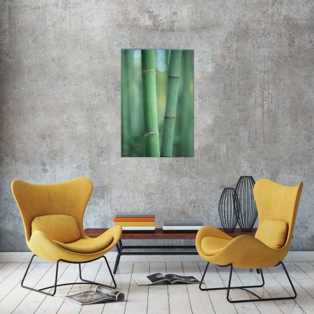 Tablou Canvas Natura