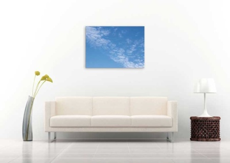 Tablou Canvas Nori Albi pe Cer