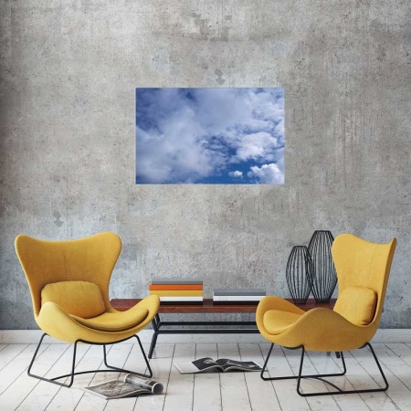 Tablou Canvas Nori Albi pe Cer