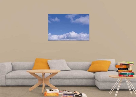 Tablou Canvas Nori Albi pe Cer