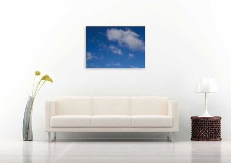 Tablou Canvas Nori Albi pe Cer