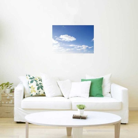 Tablou Canvas Nori Albi pe Cer