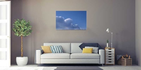 Tablou Canvas Nori Albi pe Cer